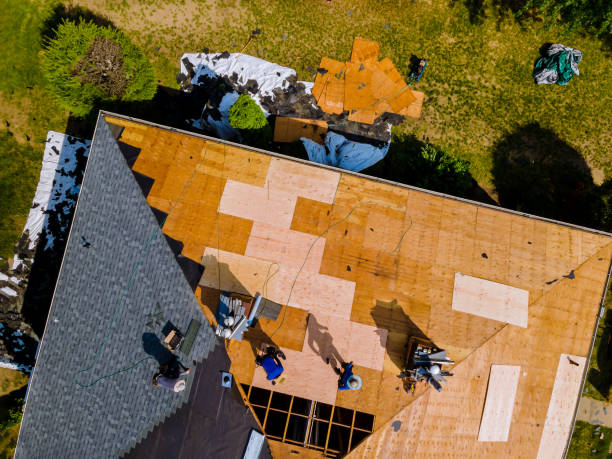Best Storm Damage Roof Repair  in Kewanee, IL